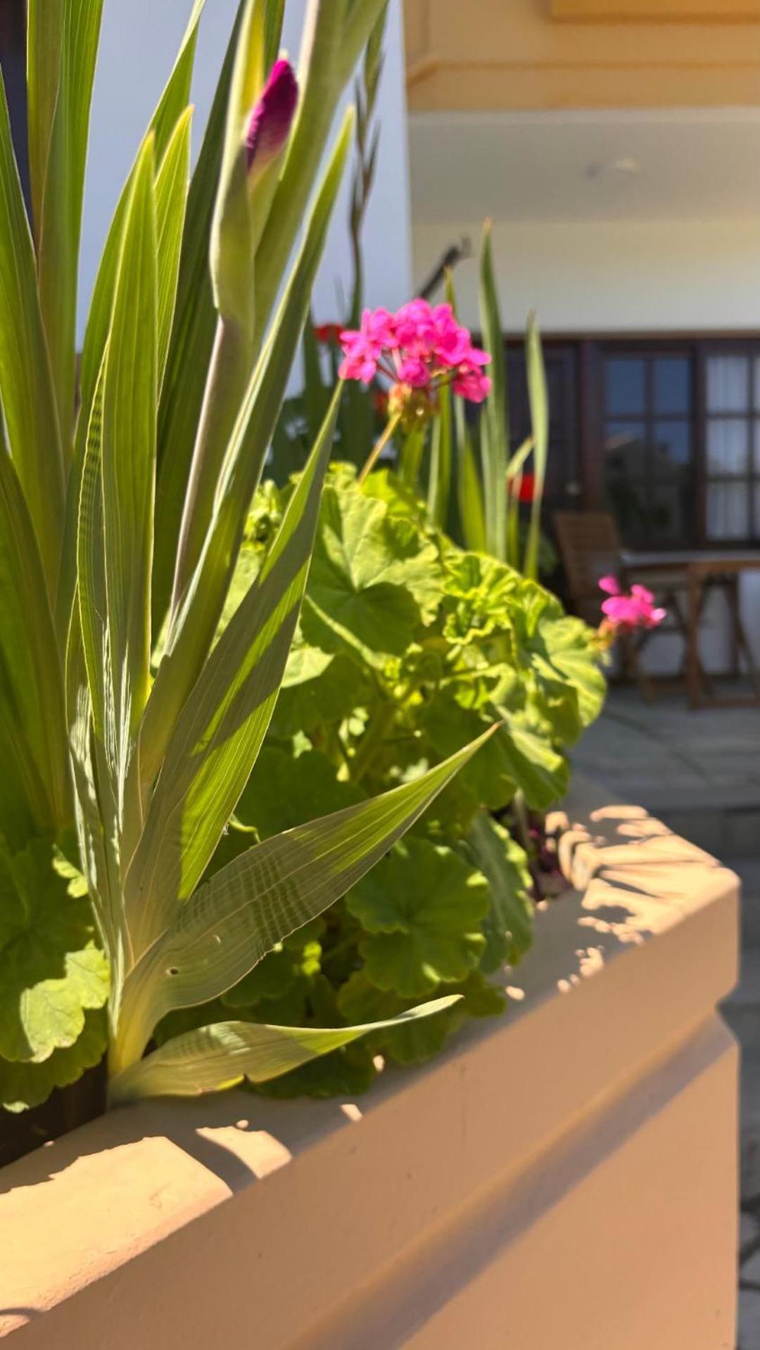 Menelaos Apartments Daratsos Екстериор снимка